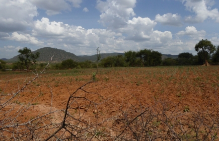 Långvarig torka orsakar matkris i Kenya